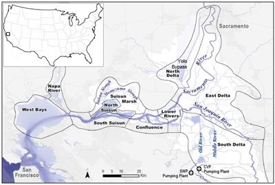 Identifying Environmental Factors Limiting Recovery of an Imperiled Estuarine Fish